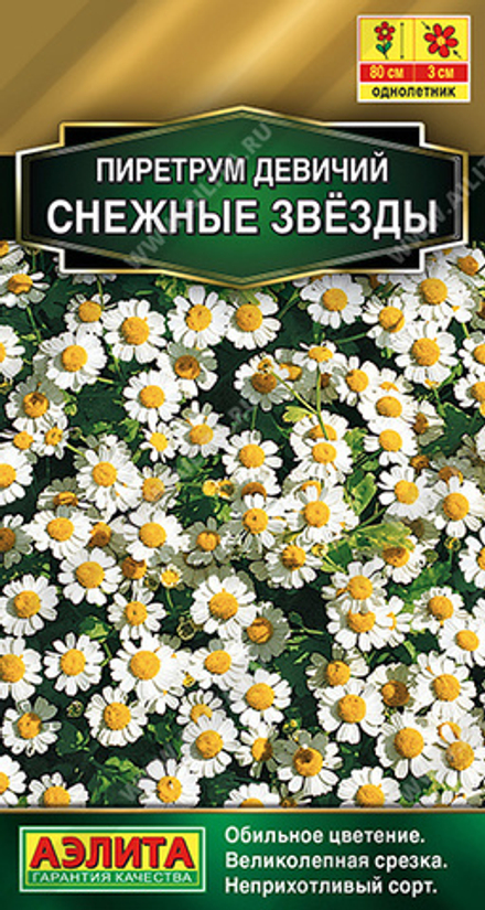 Пиретрум Снежные звезды 7шт Аэлита