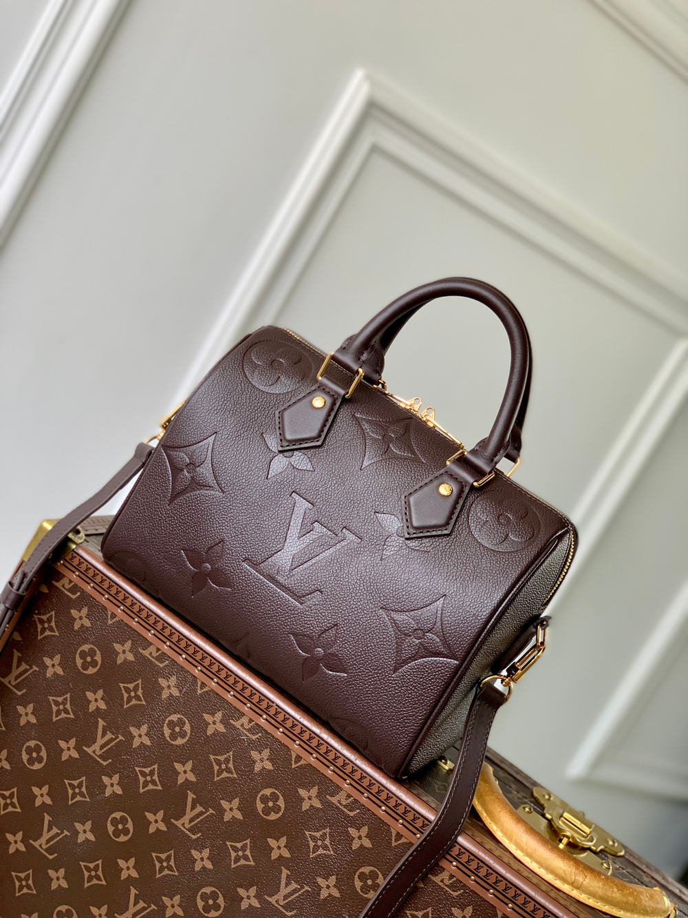 Louis Vuitton Speedy Bandouliere 25