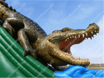 Надувная горка "Крокодил" 8*6*7 м