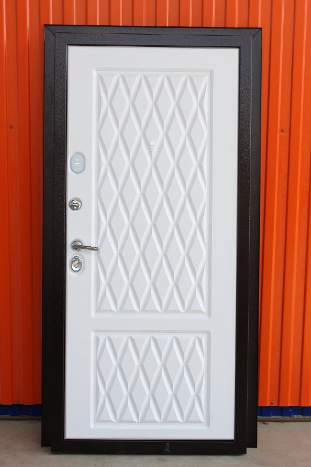 Дверь входная Лидер