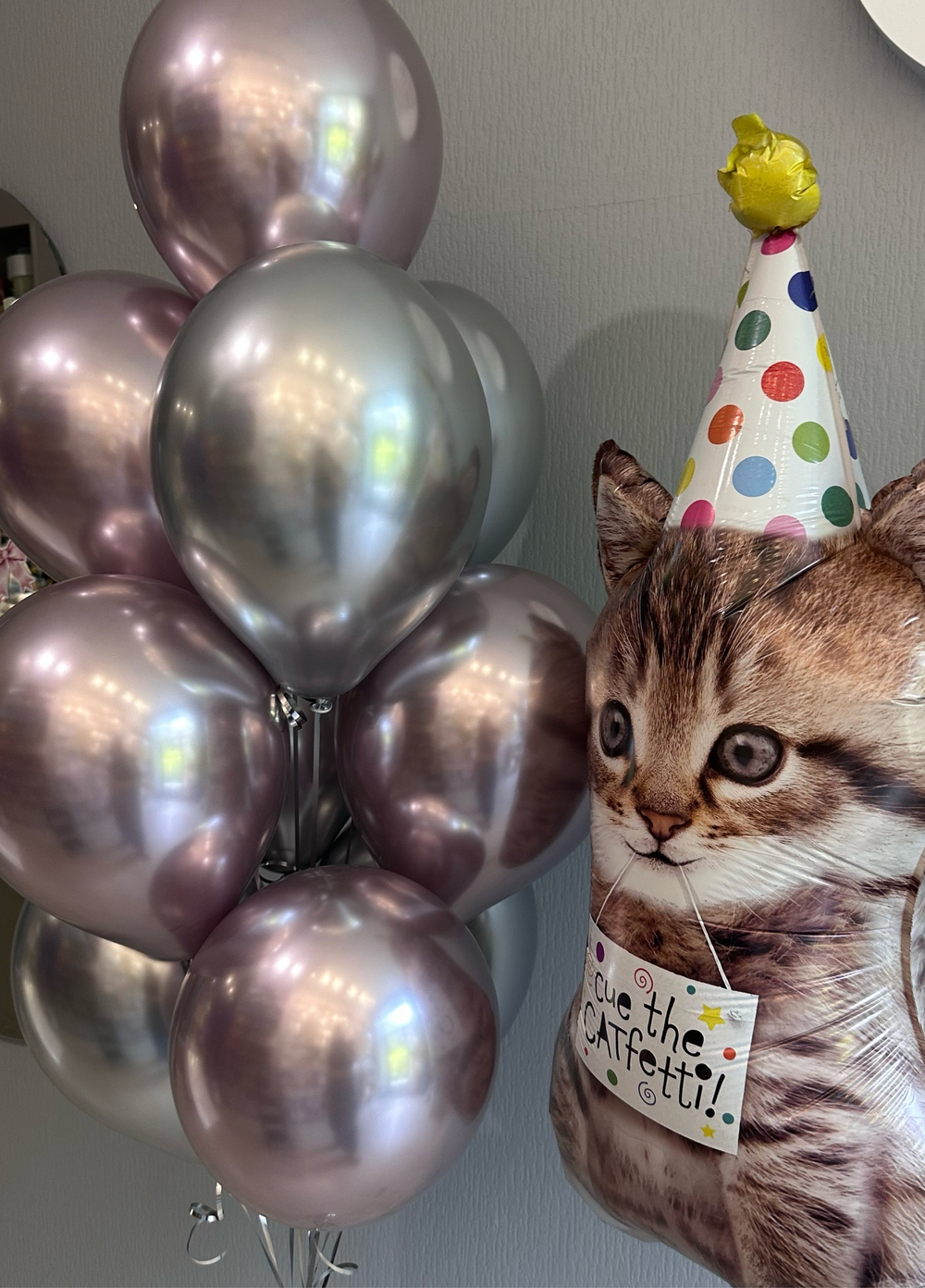 Набор шаров блестящая кошка