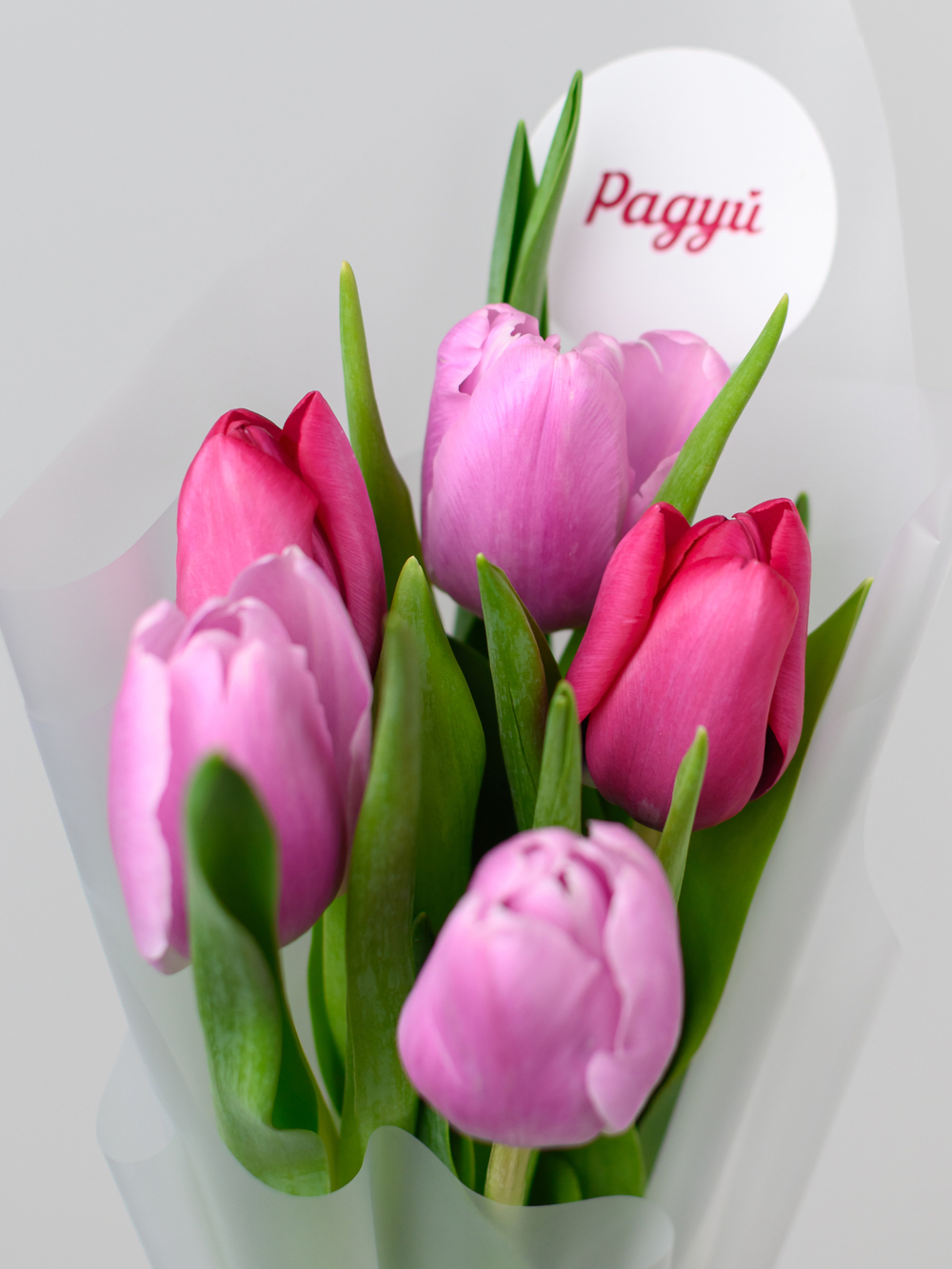 Тюльпаны микс