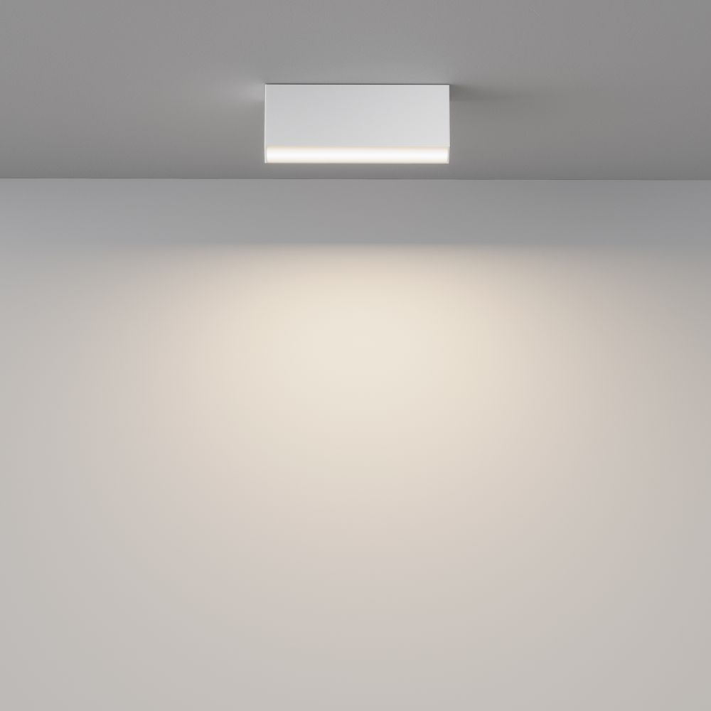 Светильник поолочный светодиодный Maytoni Basis C068CL-12W3-6K-W