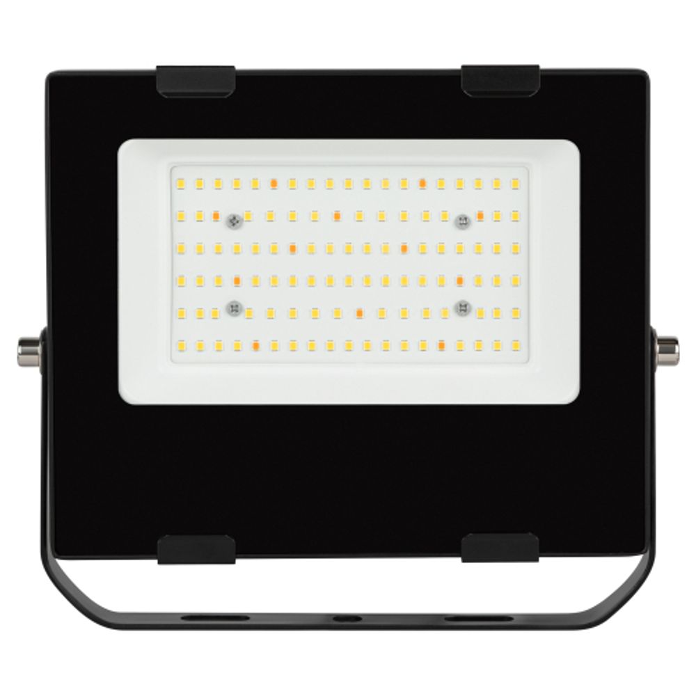 Фитопрожектор для растений светодиодный ЭРА FITO-50W-Ra90-LED для цветения и плодоношения полного спектра 50 Вт | Фито прожекторы