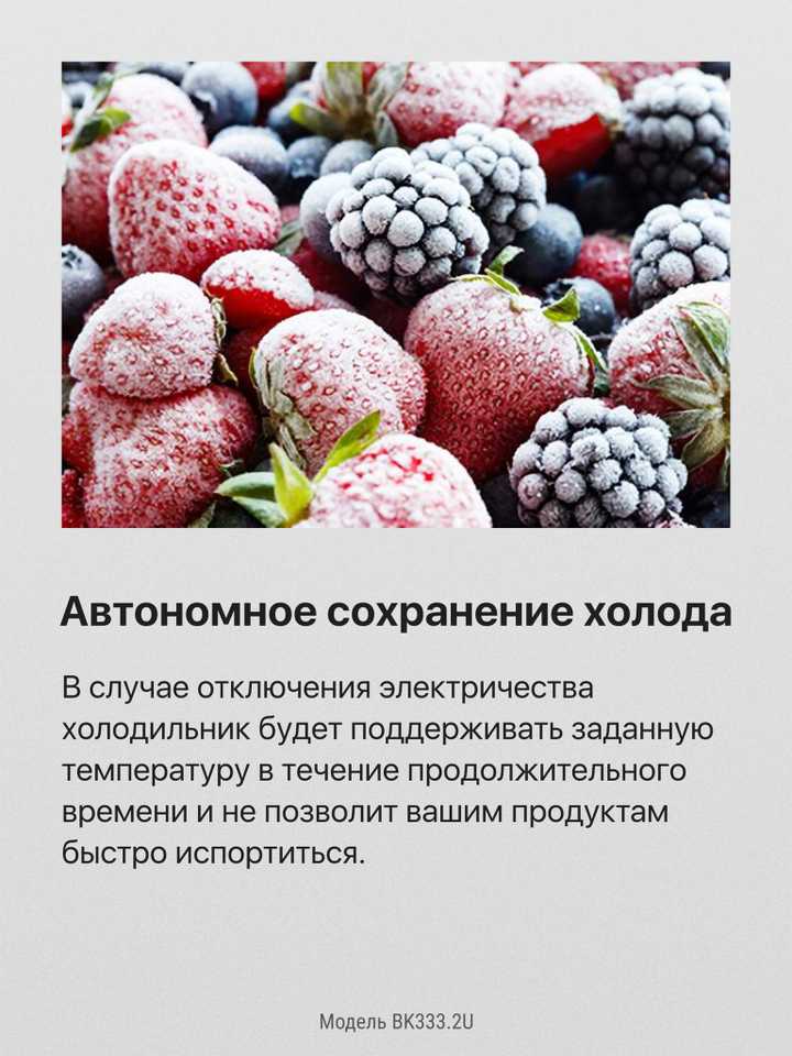 Встраиваемый холодильник Hansa BK333.2U