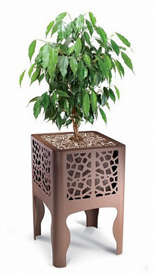 Вазон Коралла