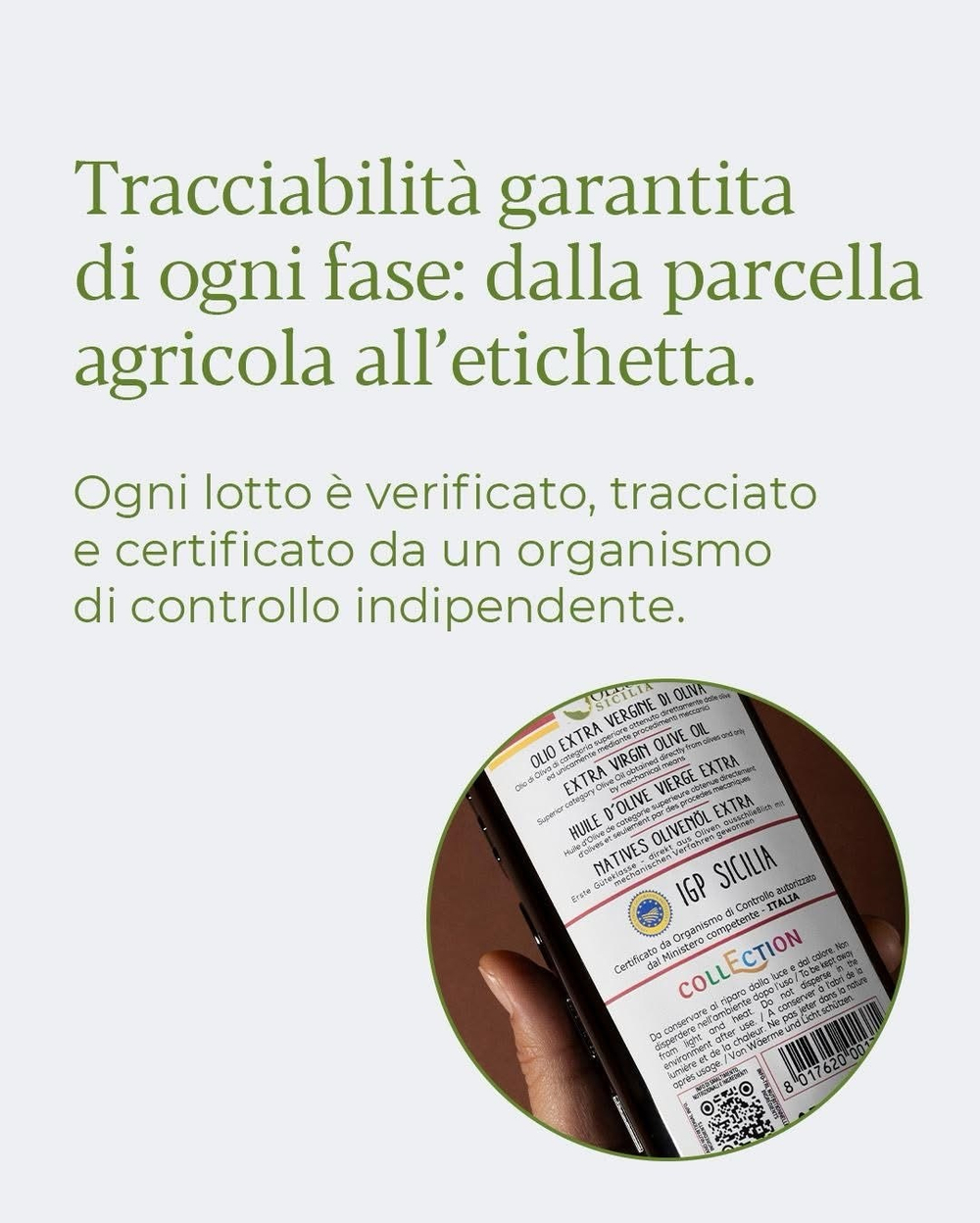 Оливковое масло Olеum Sicilia Medoro 1л, Сицилия, Италия