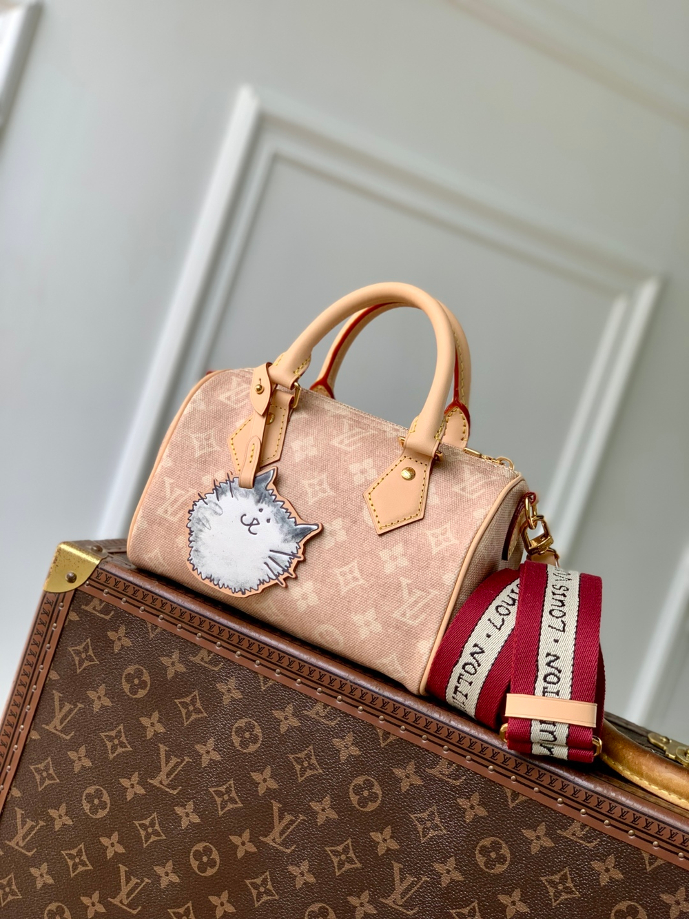 Louis Vuitton Speedy Bandouliere 20