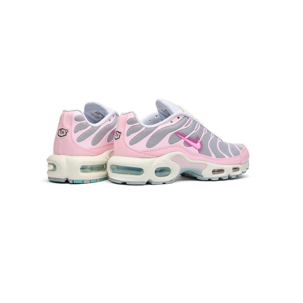 Кроссовки Nike Air Max Plus "Paw Print"