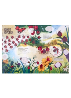 Атлас насекомых с наклейками