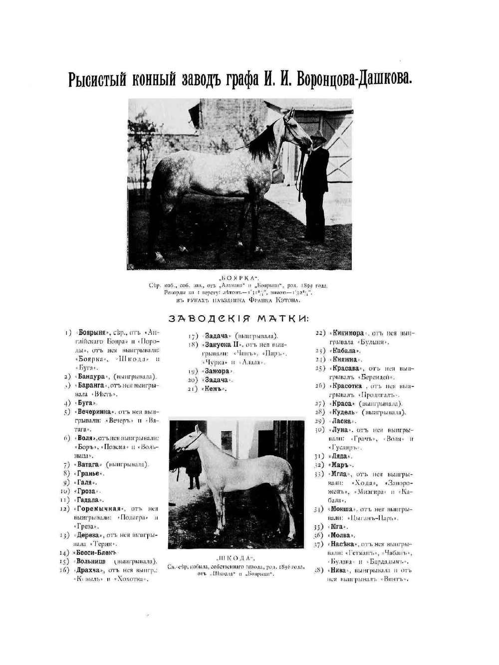 Иллюстрированный альбом рысистого и скакового спорта и перечень русских конных заводов | Л.К. Максимович