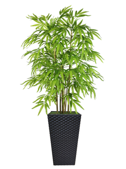 Искусственный Бамбук 130см светлый в коричневом кашпо ротанг