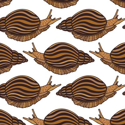 Seamless pattern of Snail.
