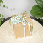 Суккулент в кашпо №1