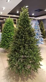 Ель искусственная «Брено» (Литая хвоя) от 1.8 до 2.4 м