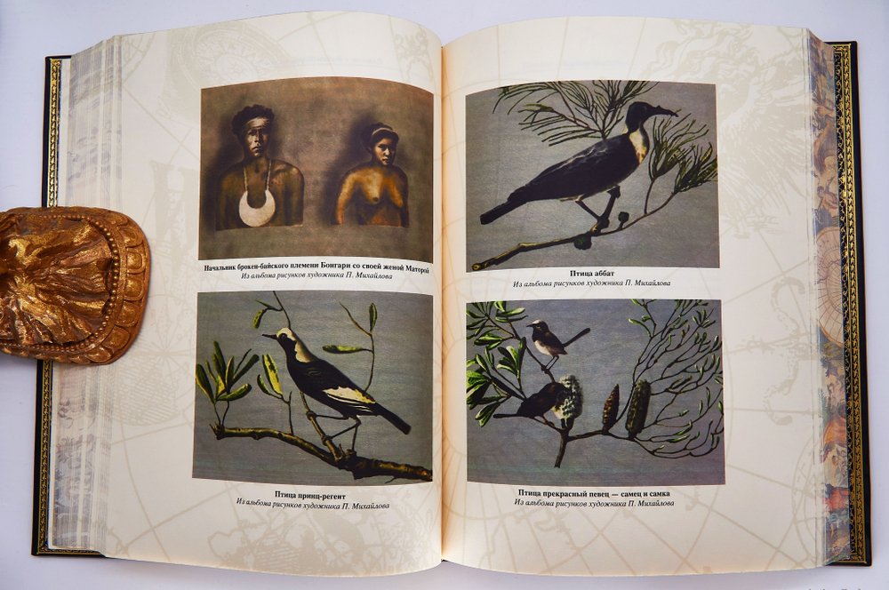 Подарочная книга "Двукратные изыскания в Южном ледовитом океане". Ф.Ф.Белинсгаузен