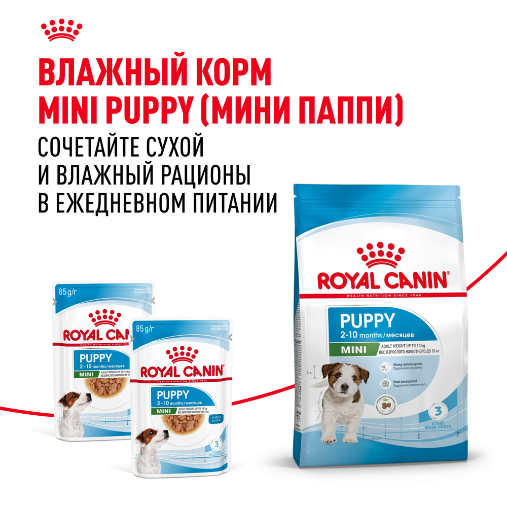 Royal Canin Mini Puppy Корм сухой для щенков мелких пород в возрасте до 10 месяцев - 0,8 кг