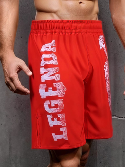 Шорты спортивные тренировочные LEGENDA Щит и Меч красный