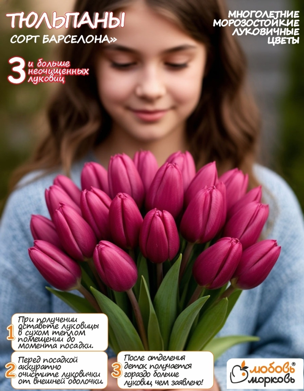 Тюльпан Луковица, Барселона, 3+ шт