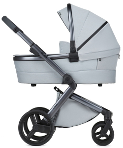 Детская коляска Anex l/type 2 в 1 lt-10t frost