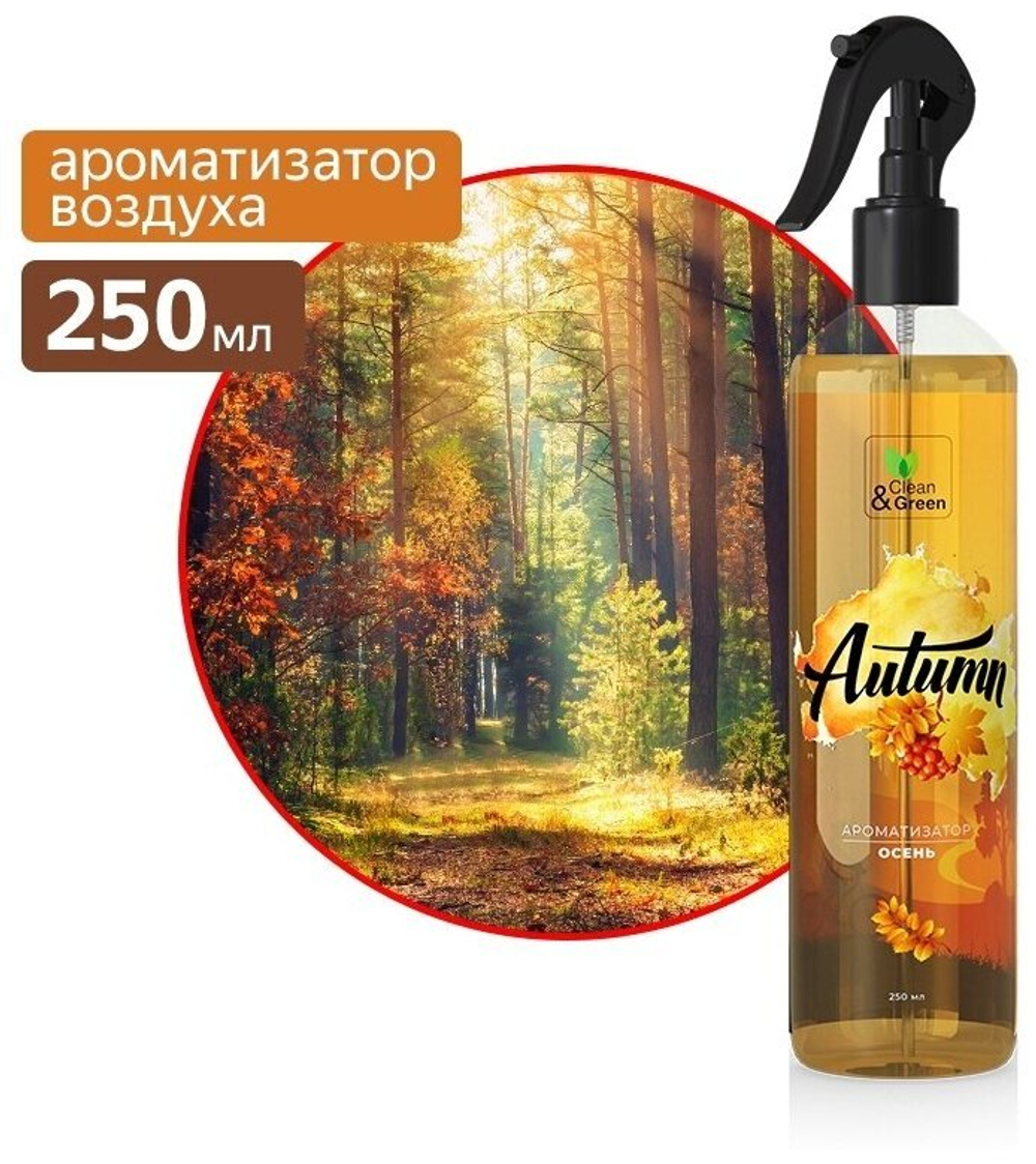 АРОМАТИЗАТОР ВОЗДУХА ОСЕНЬ ТРИГГЕР 250 МЛ CG8129
