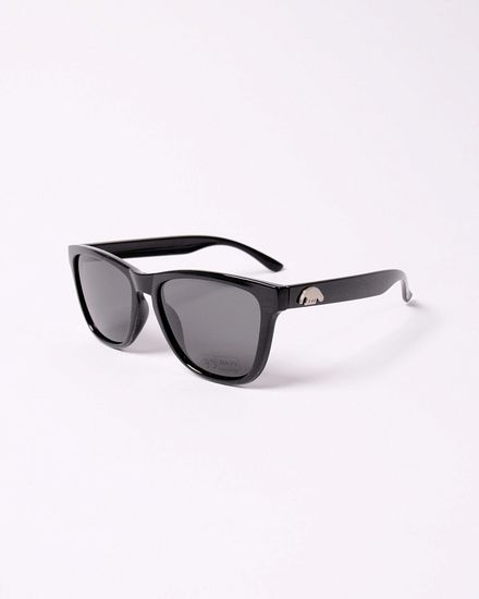 Очки Anteater Agent BLACK