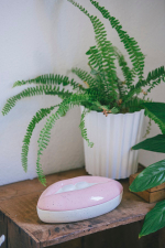 Коробка для хранения mouth