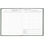 Дневник 5-11 класс 48 л., твердый, BRAUBERG, глянцевая ламинация, с подсказом, "Freestyle", 106395