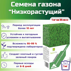 Семена газонной травы, травосмесь Низкорастущий газон, 1 кг/мятлик луговой, фестулолиум, райграс пастбищный, райграс однолетний, овсяница луговая/Газон Сити