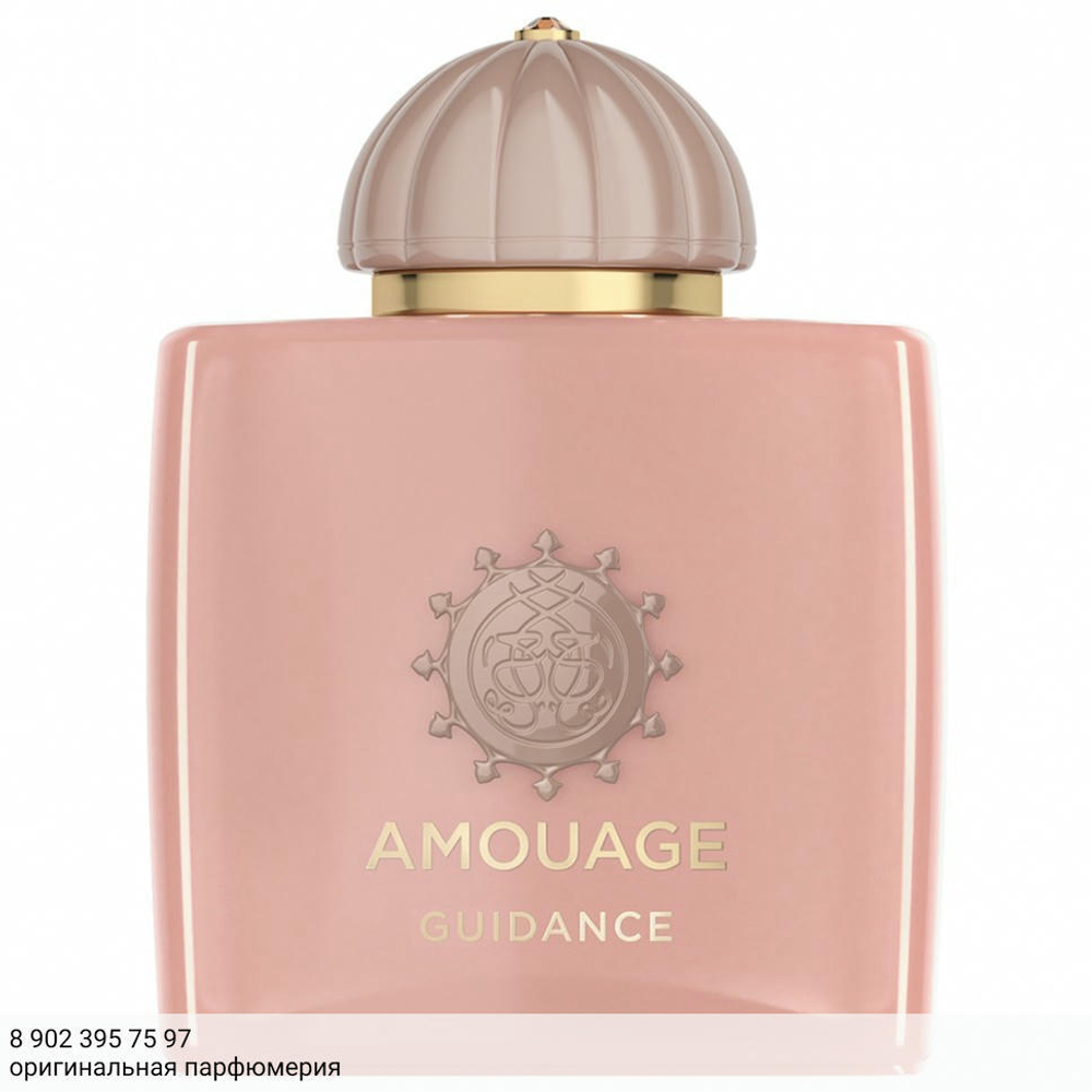 Amouage Guidance