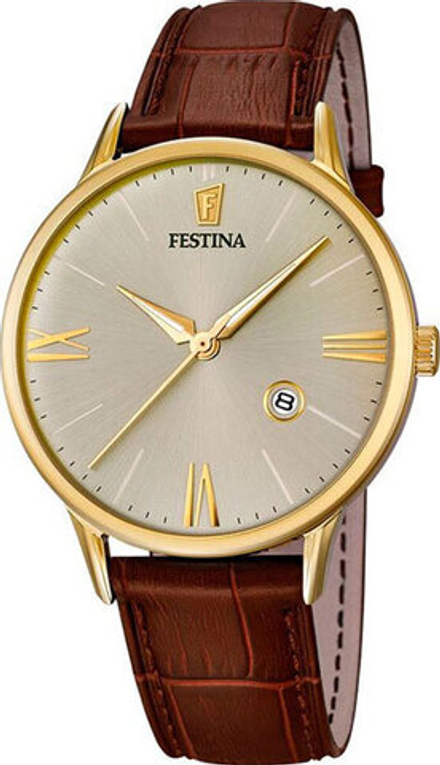 Мужские наручные часы Festina F16825/2