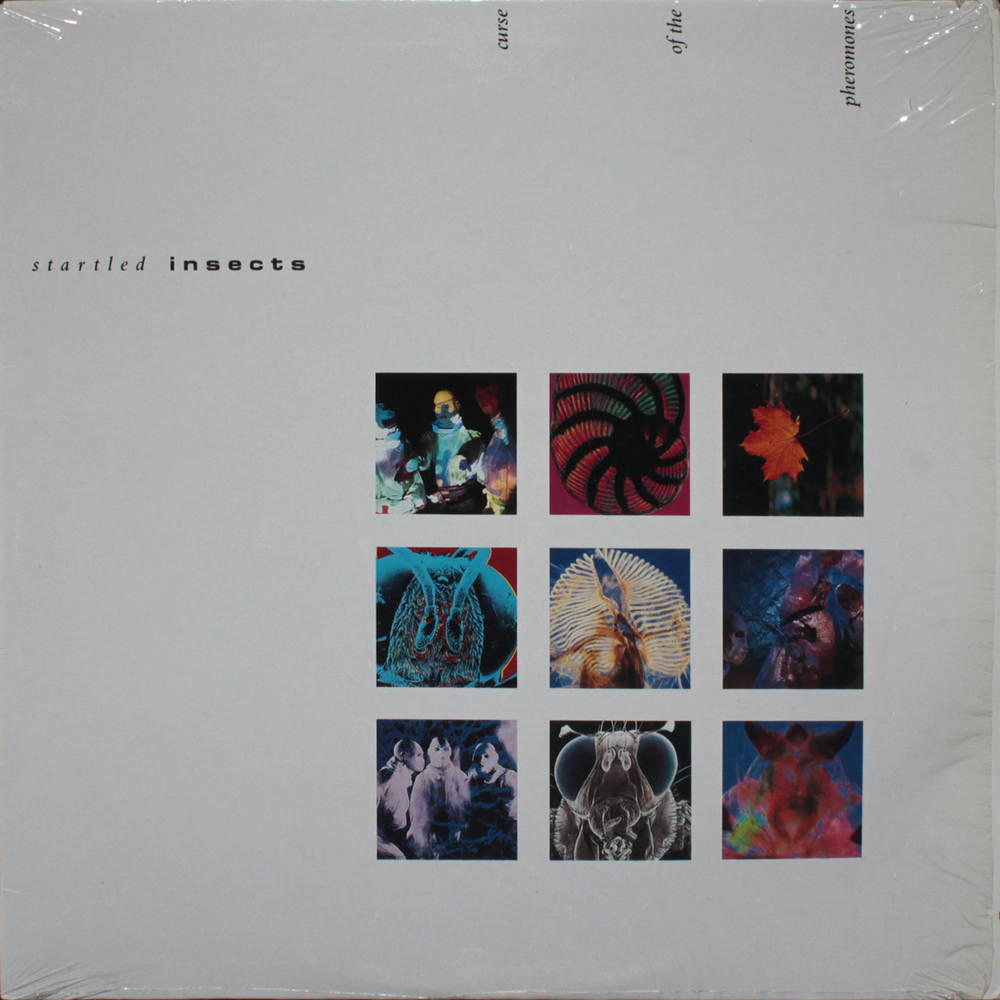 Startled Insects / Curse Of The Pheromones (LP)