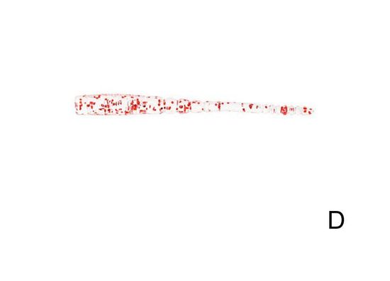 Tsurinoya R52 45мм./0,2гр.