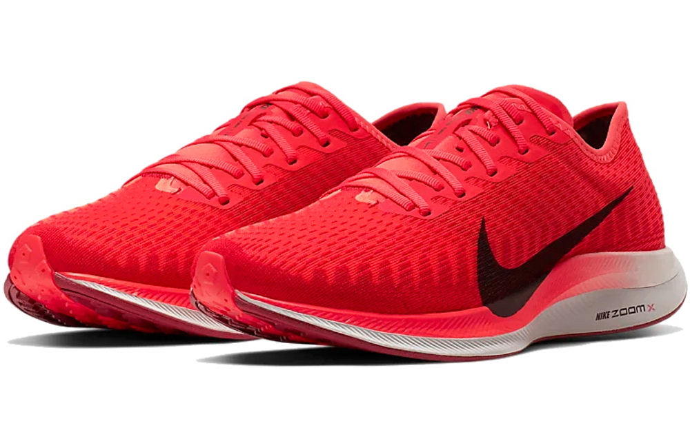 Кроссовки Nike Pegasus Turbo 2