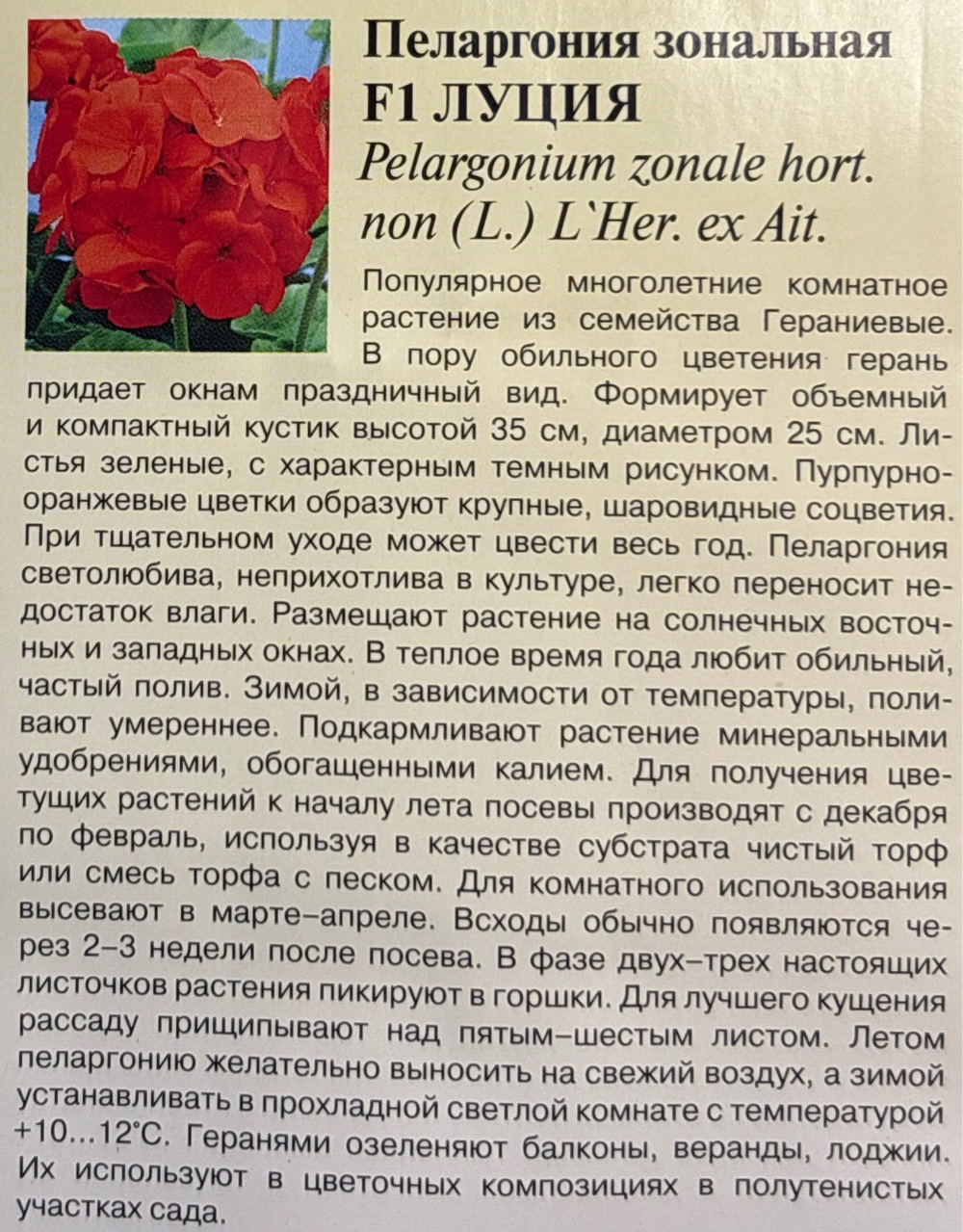 Пеларгония Луция F1 4 шт СМЦ-733