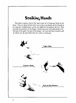 The Tiger Crane Form of Hung Gar Kung-Fu | B. Kong