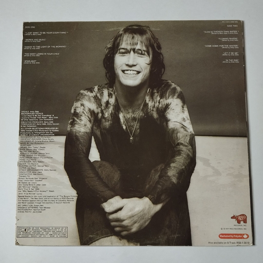 Винтажная виниловая пластинка LP Andy Gibb Flowing Rivers (USA 1977)