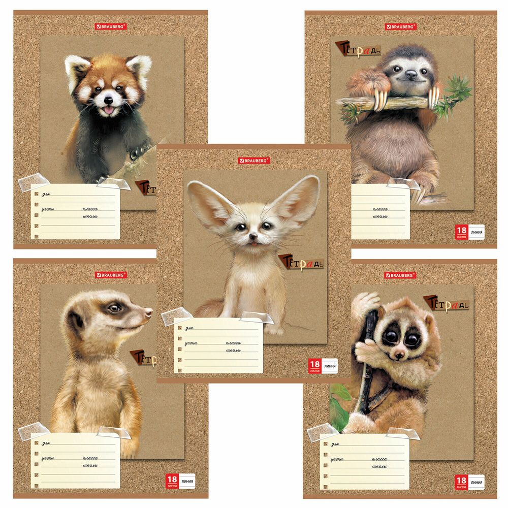 Тетрадь 18 л. BRAUBERG линия, обложка картон, "МИЛЫЕ ЗВЕРУШКИ", 403580, 5шт
