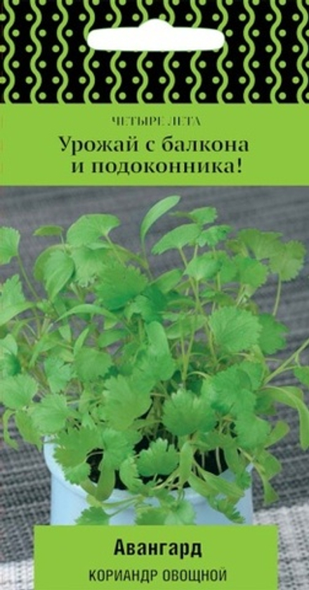Кориандр Авангард 1г (Четыре лета) Ц Поиск