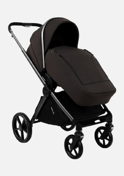 Pituso Коляска 2 в 1 Teffy Turkish Coffee/Graphite