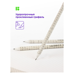 Карандаш ч/г Berlingo "Green series. Newspaper pencil", HB, заточен.