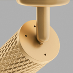 Накладной светильник Maytoni Focus Design C034CL-01G