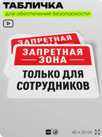 Табличка для обеспечения безопасности "Запретная зона, только для сотрудников", для офиса, по охране труда для предприятия, организаций, 40х30 см, Silver Plane x Айдентика Технолоджи