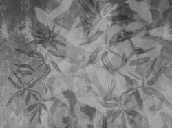 Коллекция PROSECCO