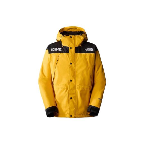 /THE NORTH FACE GTX mountain jacket