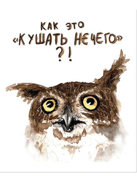 Тетрадь общая 48 листов на скрепке "Совы"