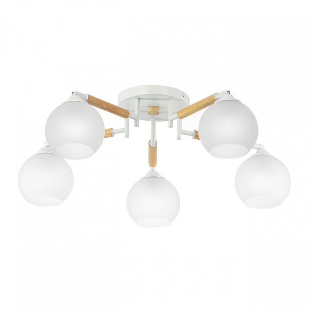 Потолочная люстра Citilux Tika CL133150