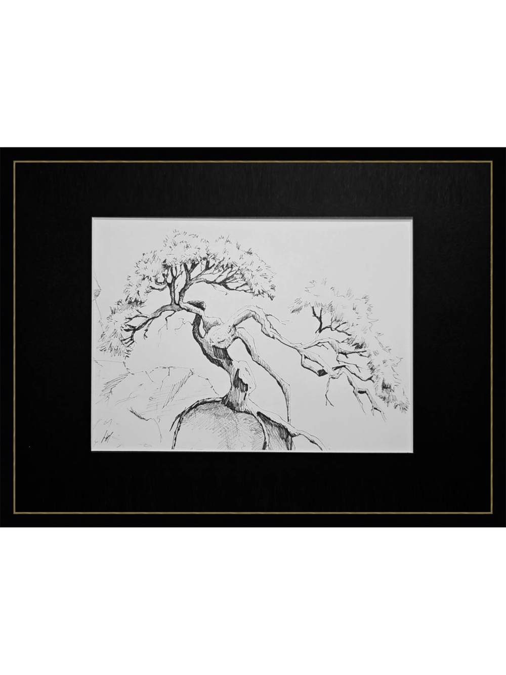 Картина, графика в паспарту 21х30 см на стену для интерьера "Сосна на утесе"