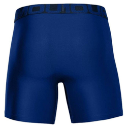 Мужские спортивные боксеры Under Armour Tech 6in 2 Pack - небесный