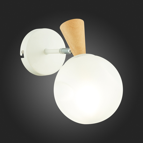 Светильник настенный Evoluce Catania SLE220701-01